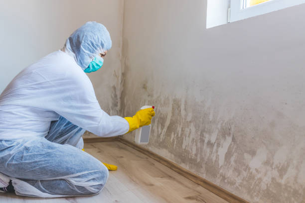 Hvac And Air Duct Mold Remediation inspection of HVAC system in Schaumburg